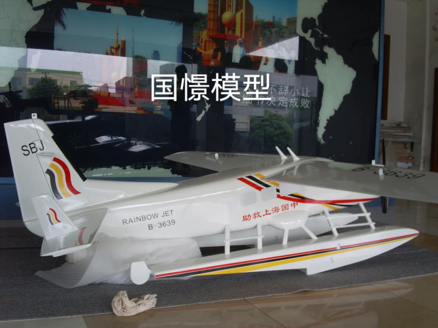 远安县飞机模型